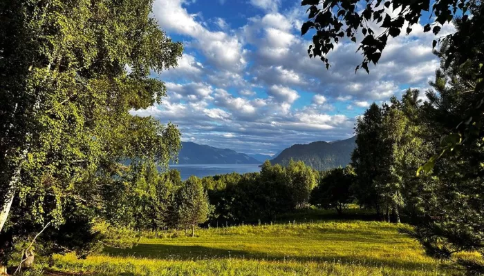 В Алтайском заповеднике поделились кадрами июньских пейзажей. Фото